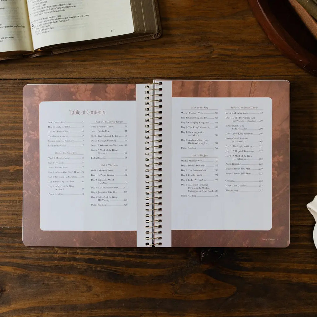 Peaks and Valleys Spiral Bible Study